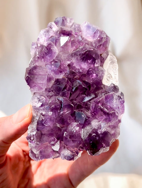 Pointed Amethyst Cluster