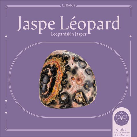 Jaspe Léopard